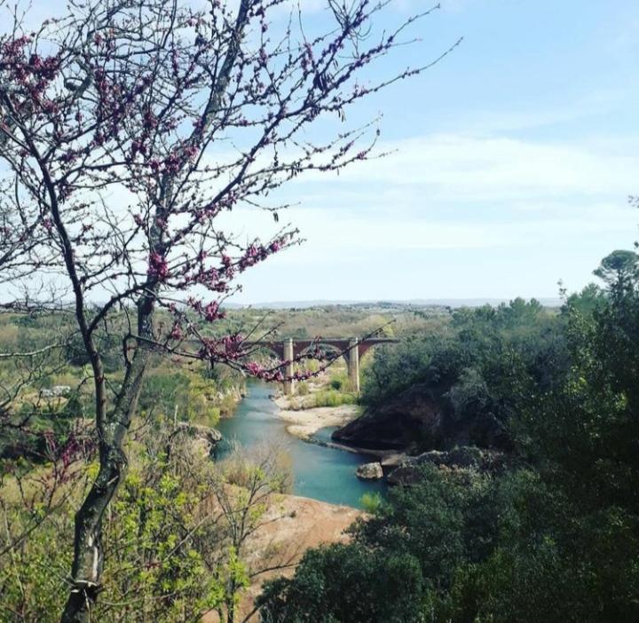 Agreable Studio Vue Port Au Cap D'אגדה מראה חיצוני תמונה